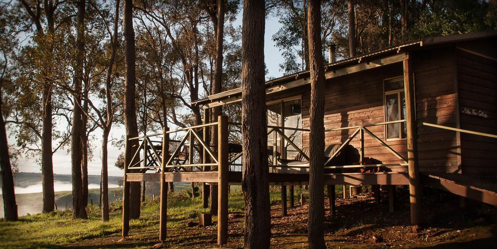 Balingup Heights Hilltop Forest Cottages Номер фото